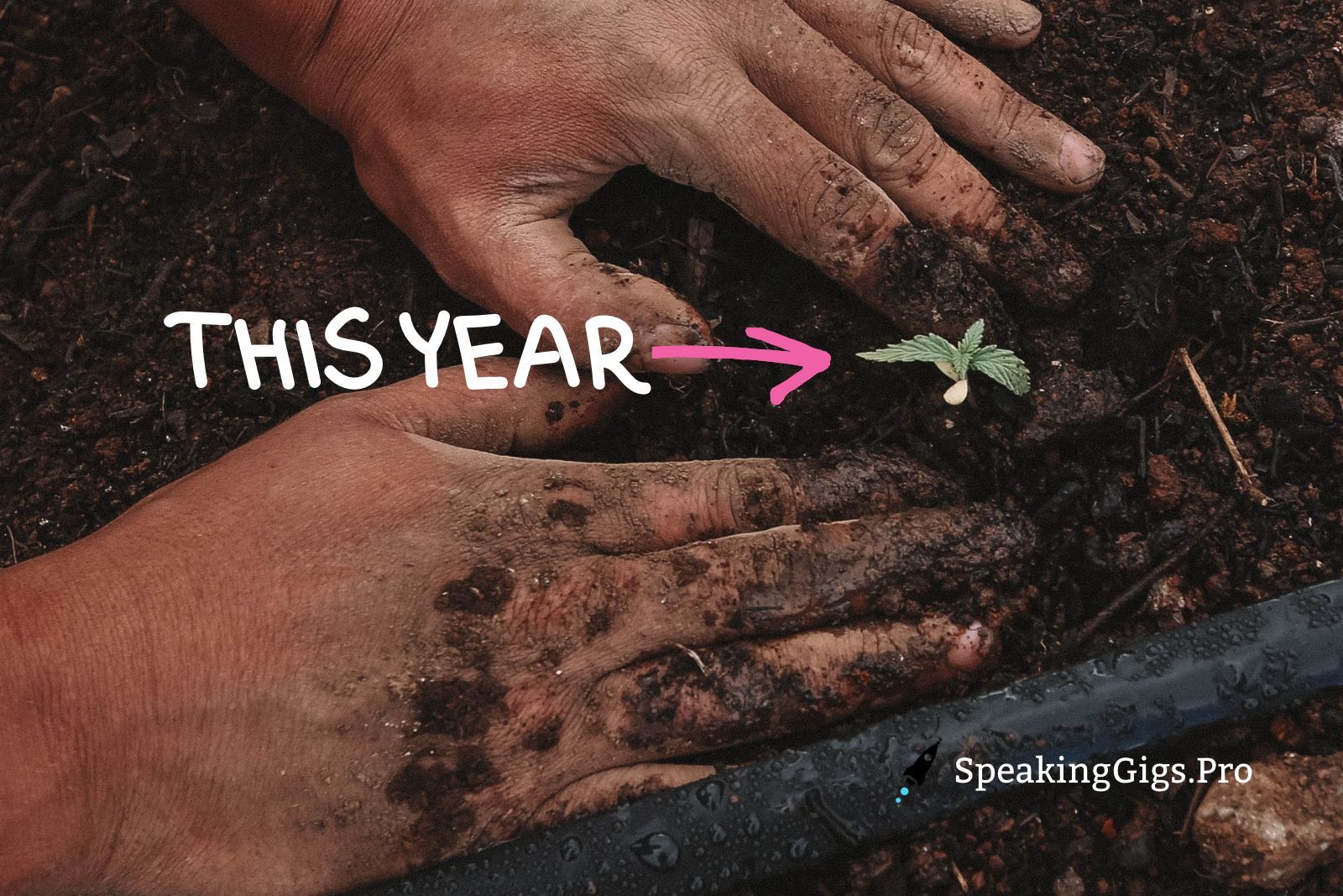 What Does it Take to Build a Sustainable Speaking Career This Year? (1 of 2)