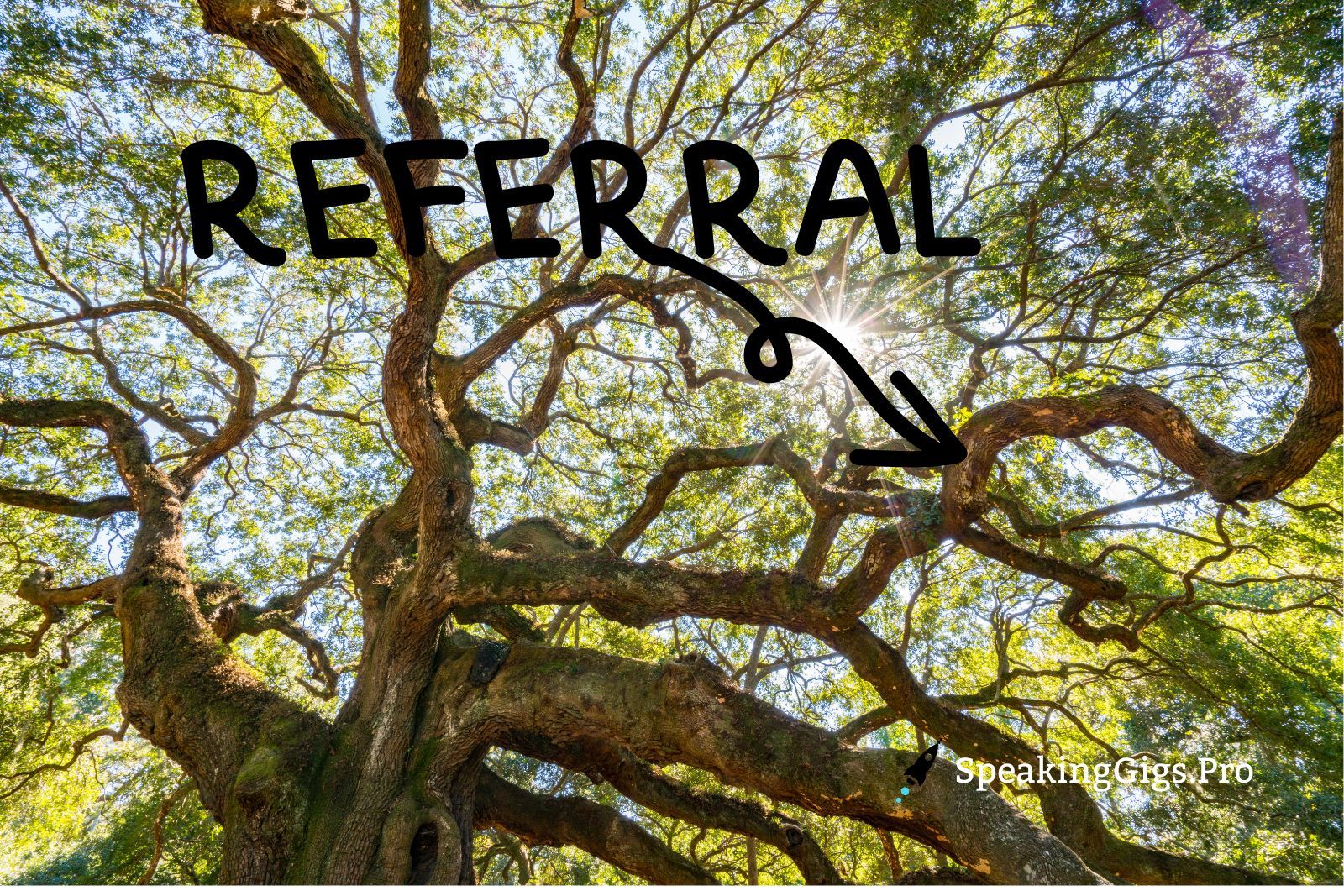 The Differences Between Stageside Leads and Referrals